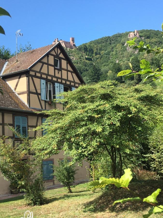 Le Gite Du Moulin Ribeauville  Luaran gambar