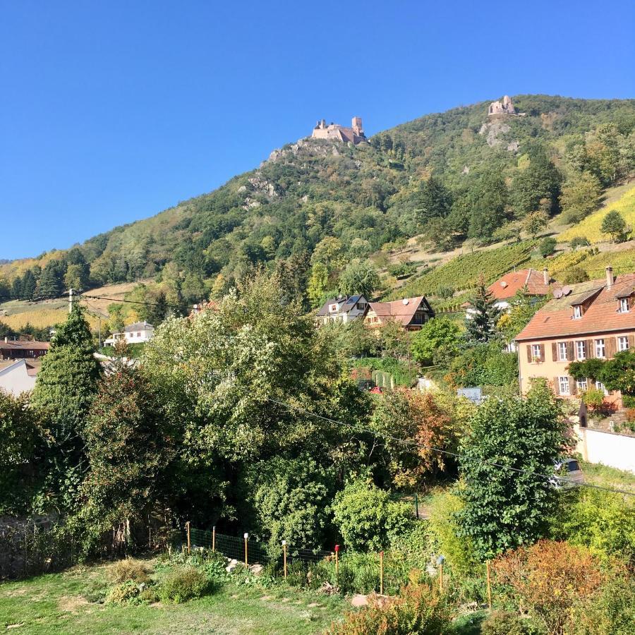 Le Gite Du Moulin Ribeauville  Luaran gambar